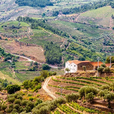 Vista exterior da Quinta da Ribeira